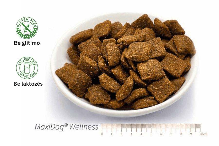 Pigus šunų maistas jautriam virškinimui Reico MaxiDog WELLNESS │ Biolinija Pigus šunų maistas jautriam virškinimui Reico MaxiDog WELLNESS │ Biolinija