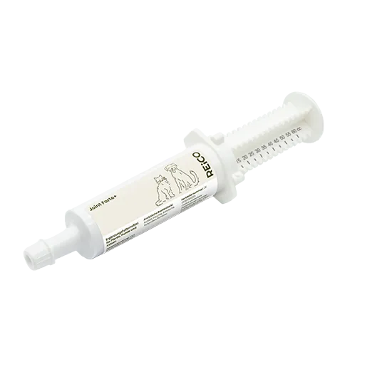 REiCO Joint Forte+ (skystas papildas sąnariams), 60 ml
