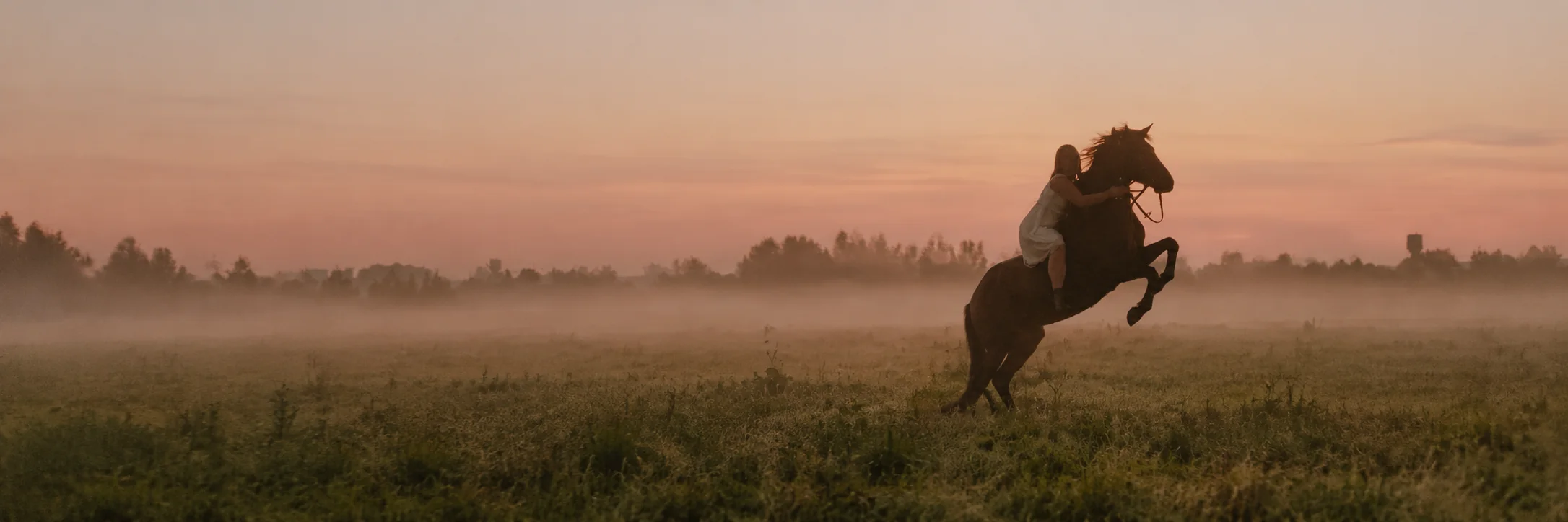 Kepenų palaikymas žirgui po ligos ar vaistų kurso